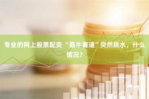 专业的网上股票配资 “最牛赛道”突然跳水，什么情况？