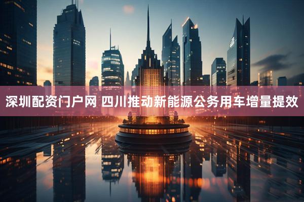 深圳配资门户网 四川推动新能源公务用车增量提效