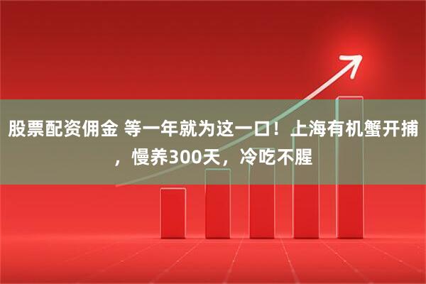 股票配资佣金 等一年就为这一口！上海有机蟹开捕，慢养300天，冷吃不腥